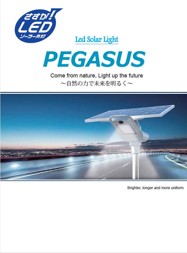 LEDソーラー外灯 PEGASUS ステンレス光